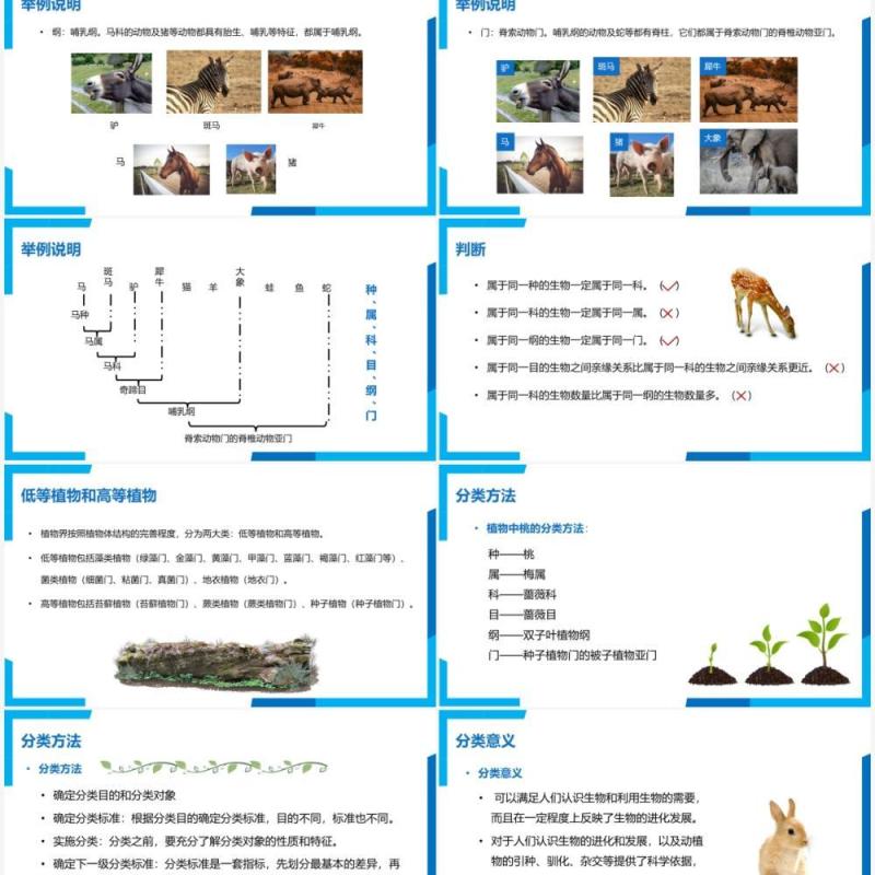 部编版八年级生物上册从种到界PPT模板 部编版八年级生物上册从种到界PPT模板
