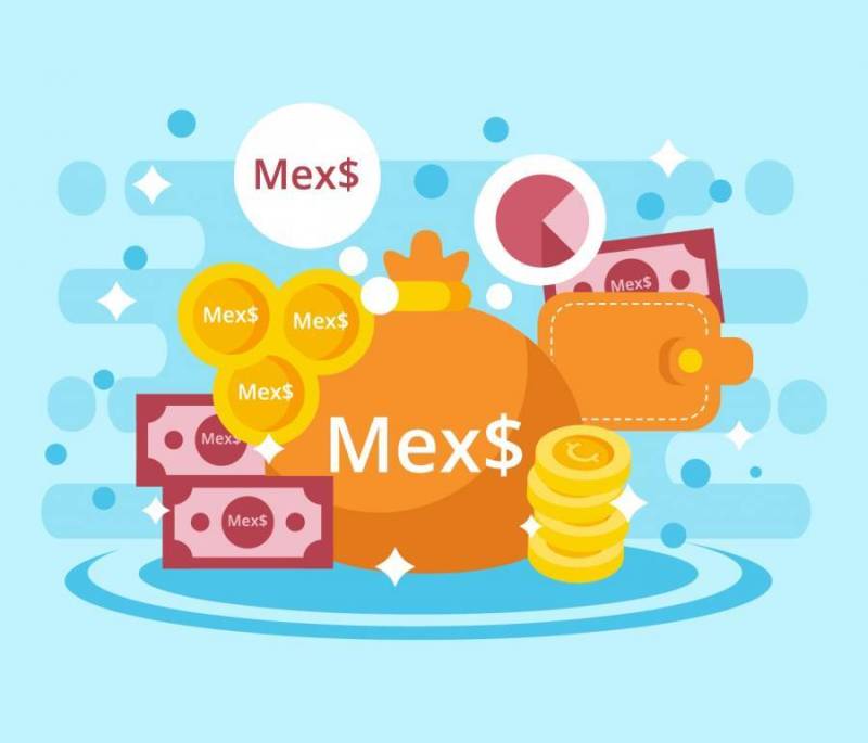  墨西哥重量矢量