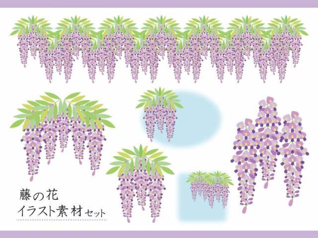 紫藤花插图素材集