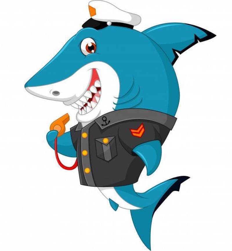 鲨鱼卡通插图