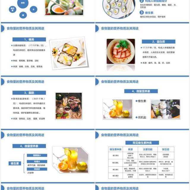 蓝色简约体育运动与营养教育PPT模板