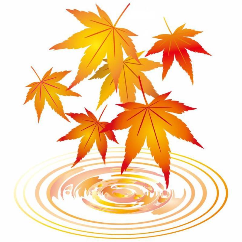 枫叶秋天的树叶帧框架装饰框架透明装饰背景图片