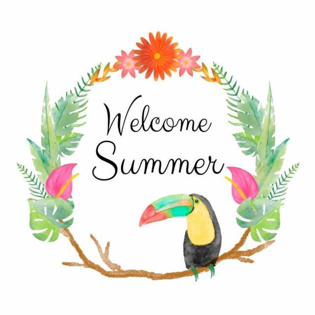 Toucan和报价的热带花圈