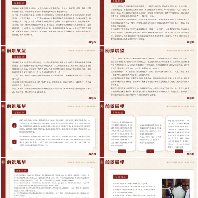 红色中国风非遗系列之藏医药介绍PPT模板 红色中国风非遗系列之藏医药介绍PPT模板