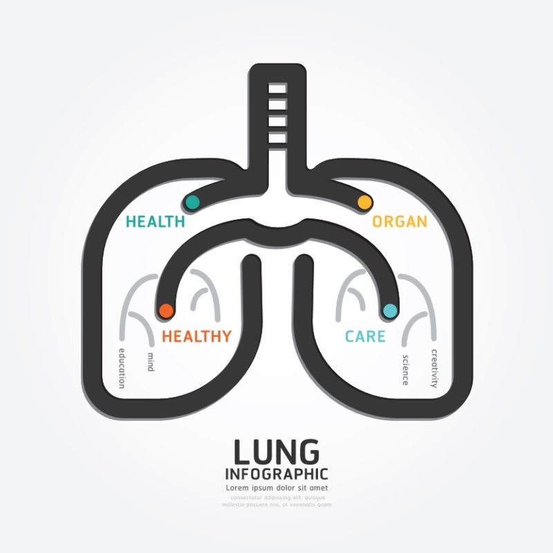 创意信息图形元素21