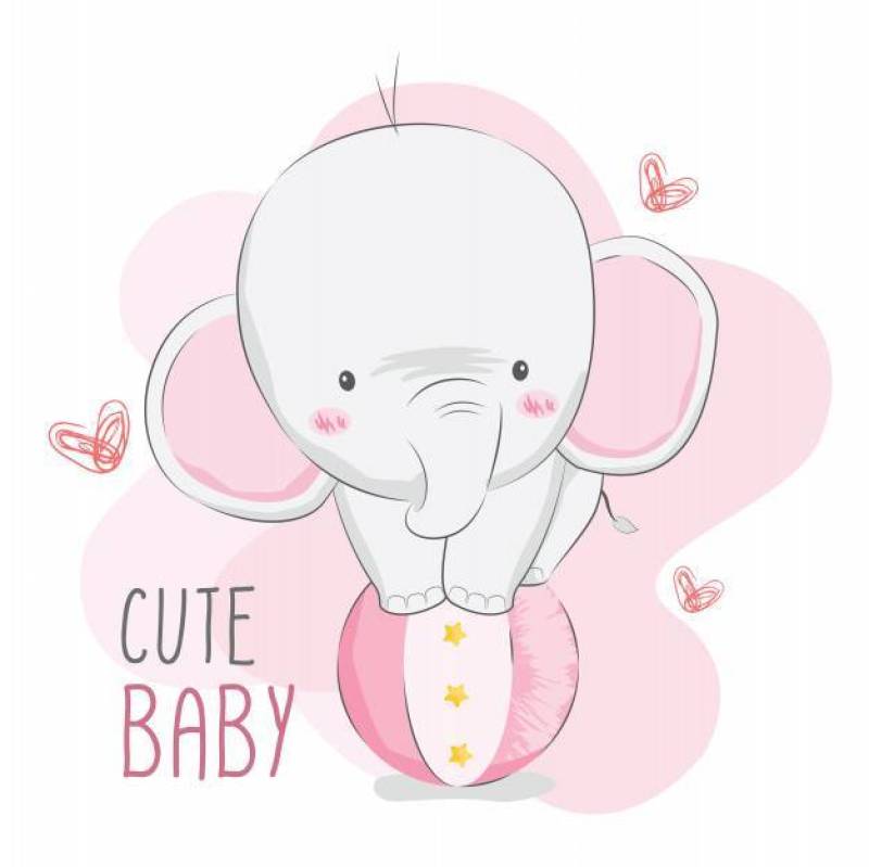 Cute Baby Elephant Circus