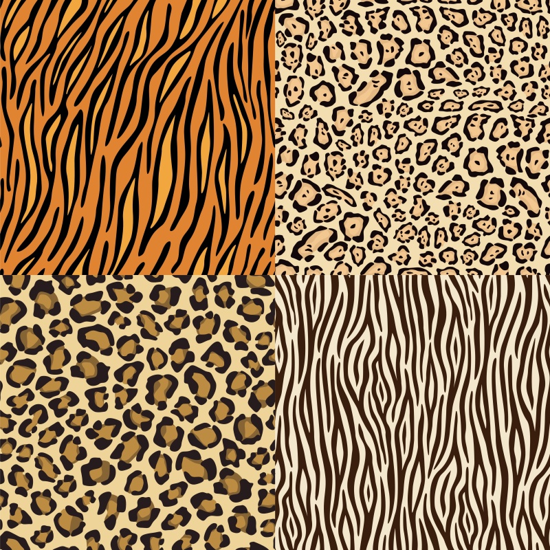 斑马豹矢量图26
