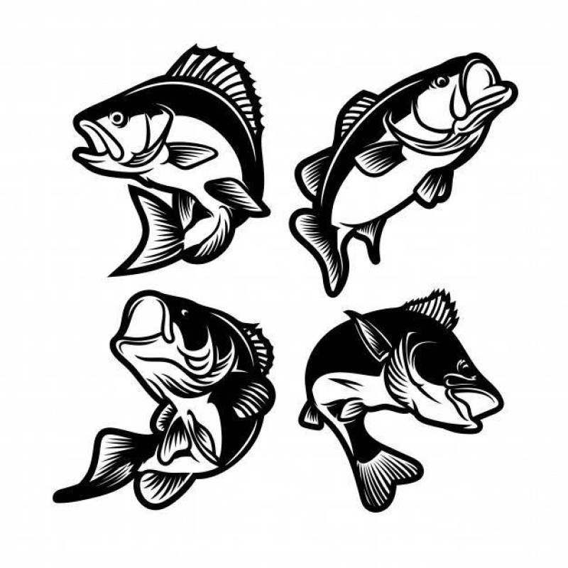 黑色和白色的大鲈鱼一套。钓鱼标志
