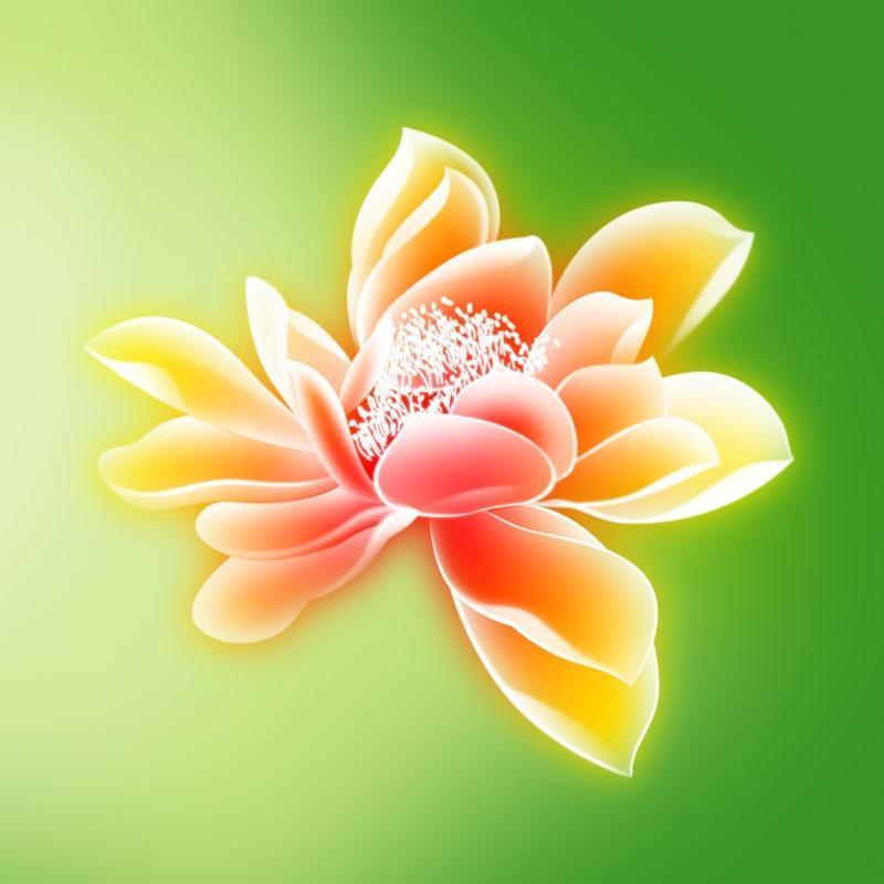 透明荷花PSD分层素材