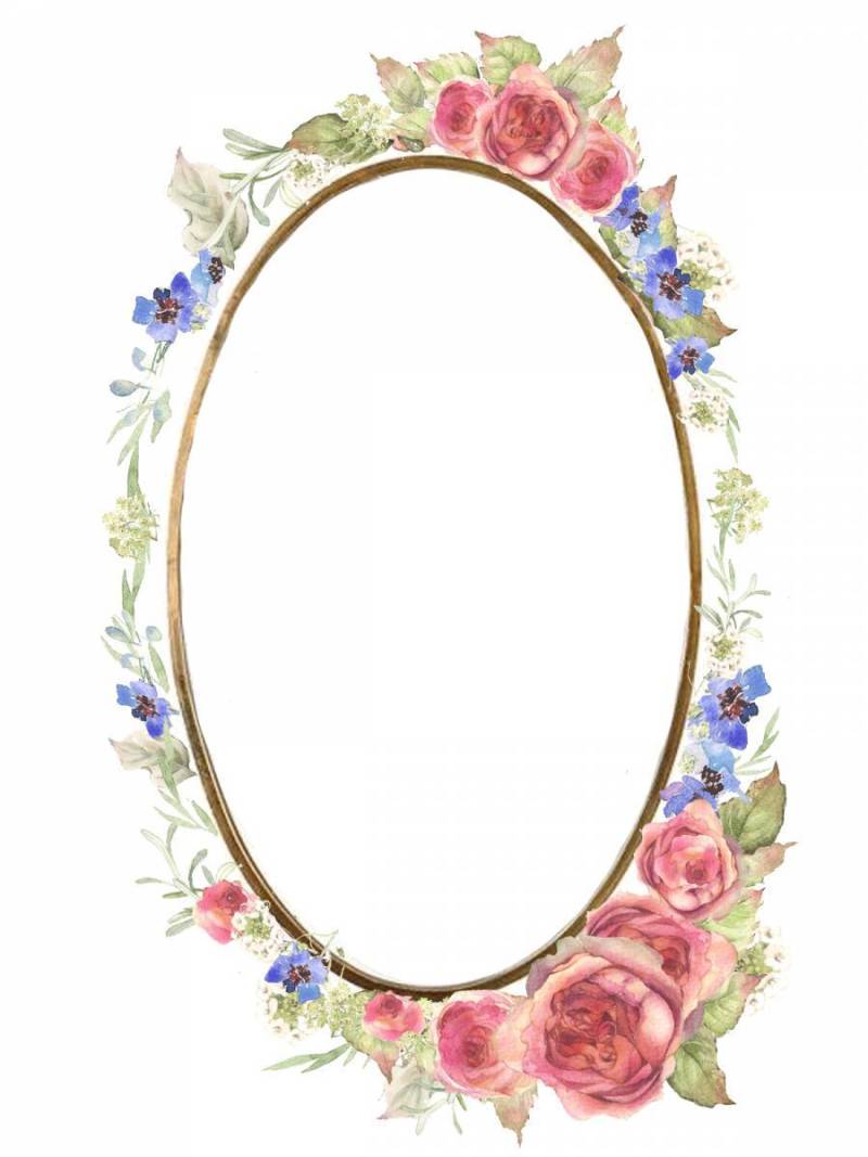 椭圆形的镜子，花架1 - 美丽的粉红色的玫瑰