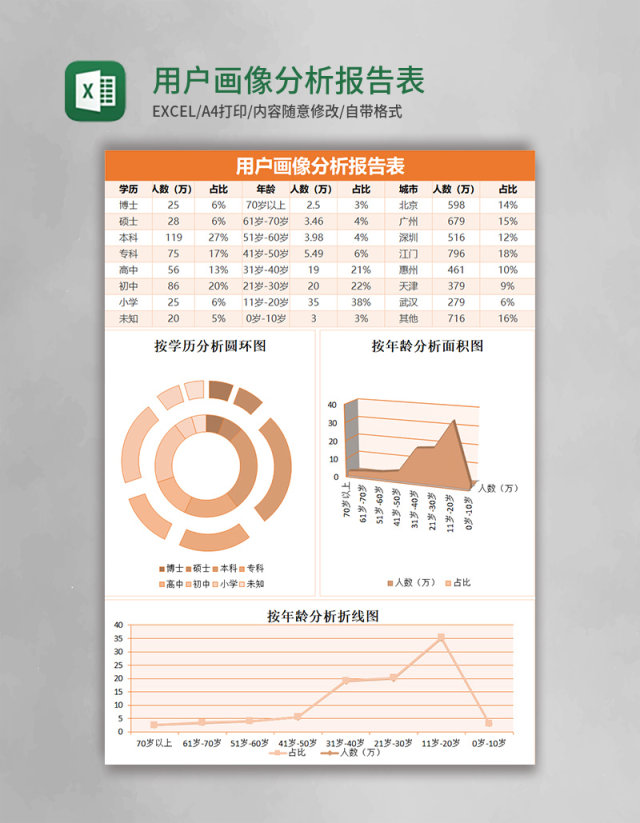 用户画像分析报告表excel表格模板