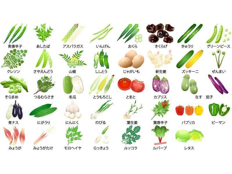 夏季蔬菜集
