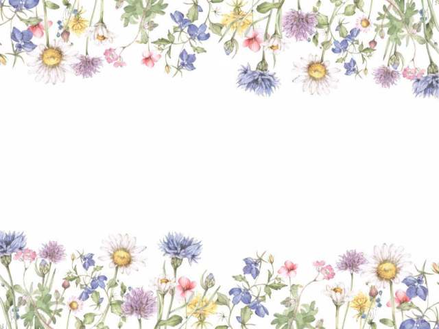 花框架173 - 小花园花框架