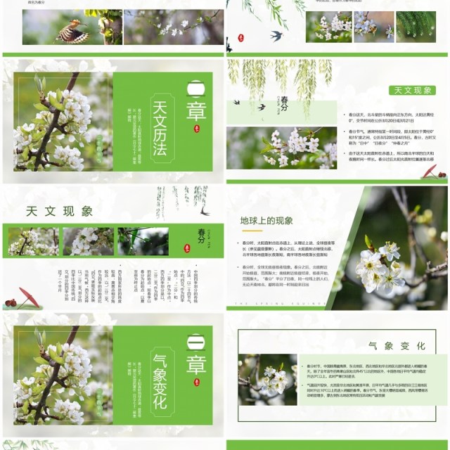 绿色中国风二十四节气之春分PPT模板 绿色中国风二十四节气之春分PPT模板