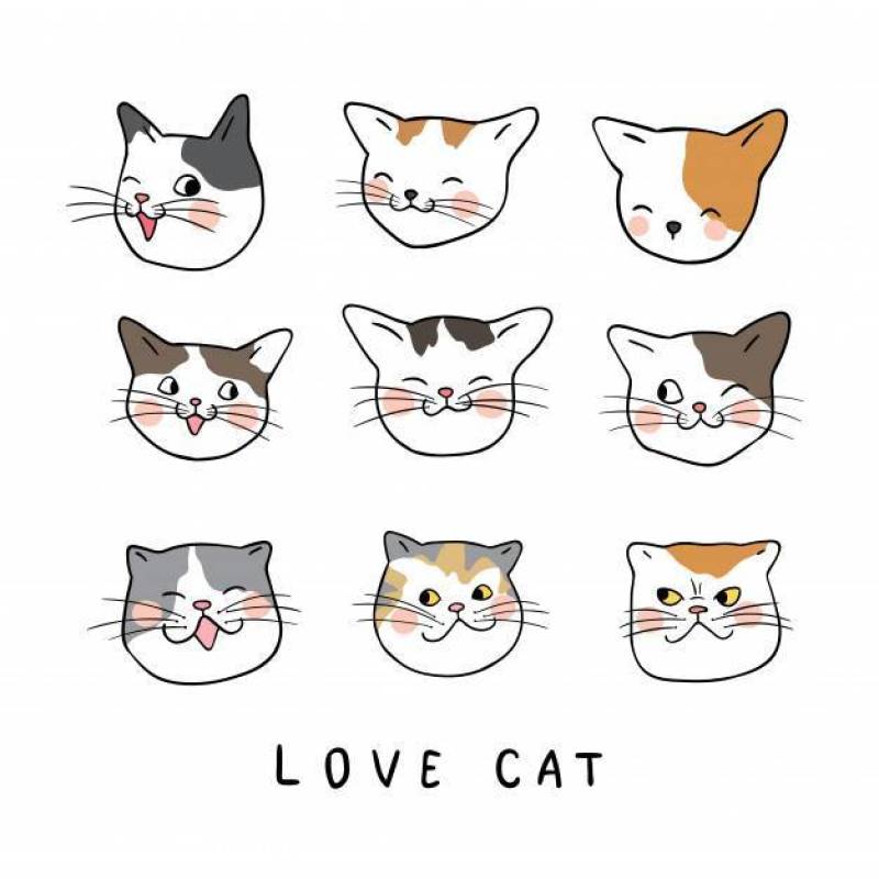 设置可爱猫咪的画情感脸