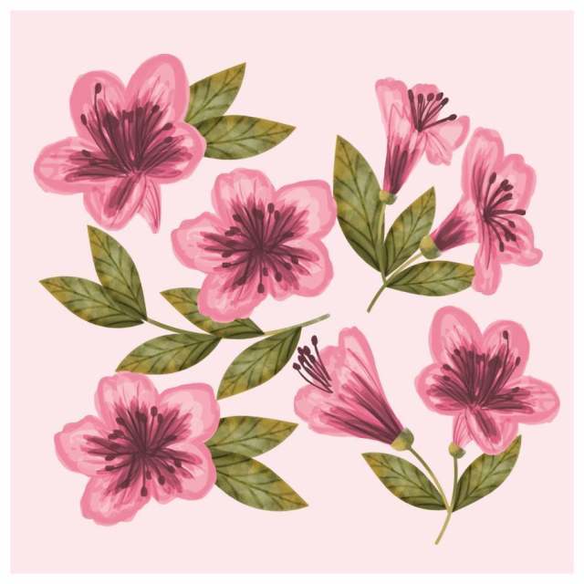 矢量手绘杜鹃花花