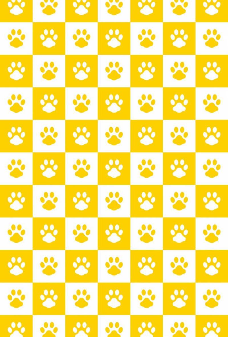 检查模式_狗鞋Ashiato _黄色