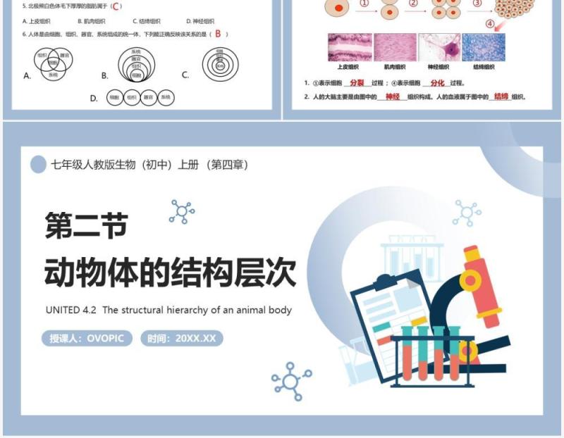 部编版七年级生物上册动物体的结构层次课件PPT模板