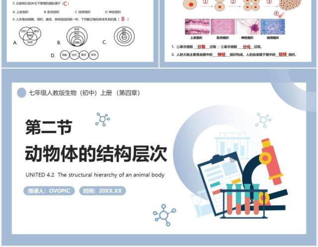 部编版七年级生物上册动物体的结构层次课件PPT模板 部编版七年级生物上册动物体的结构层次课件PPT模板