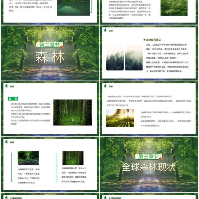 绿色简约风世界森林日PPT模板 绿色简约风世界森林日PPT模板