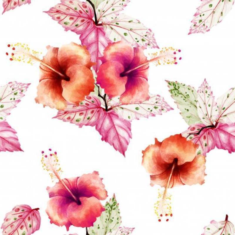 Watercolor Seamless pattern Hibiscus flowers.