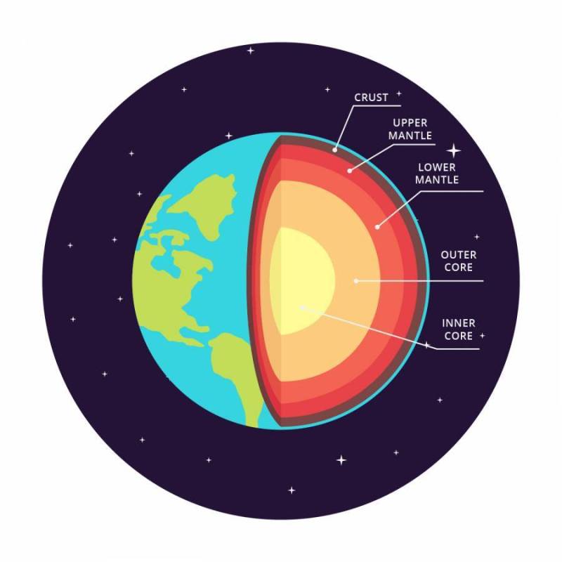 地球传染媒介Infographic的结构