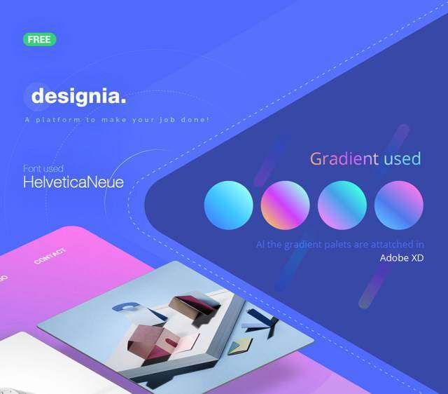 Designia 机构登陆页面