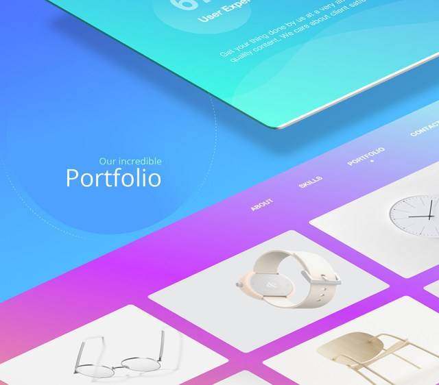 Designia 机构登陆页面