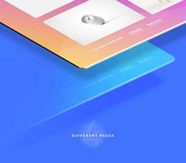 Designia 机构登陆页面