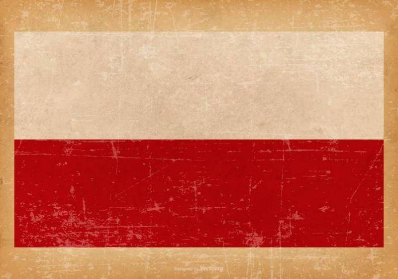 波兰的grunge旗子