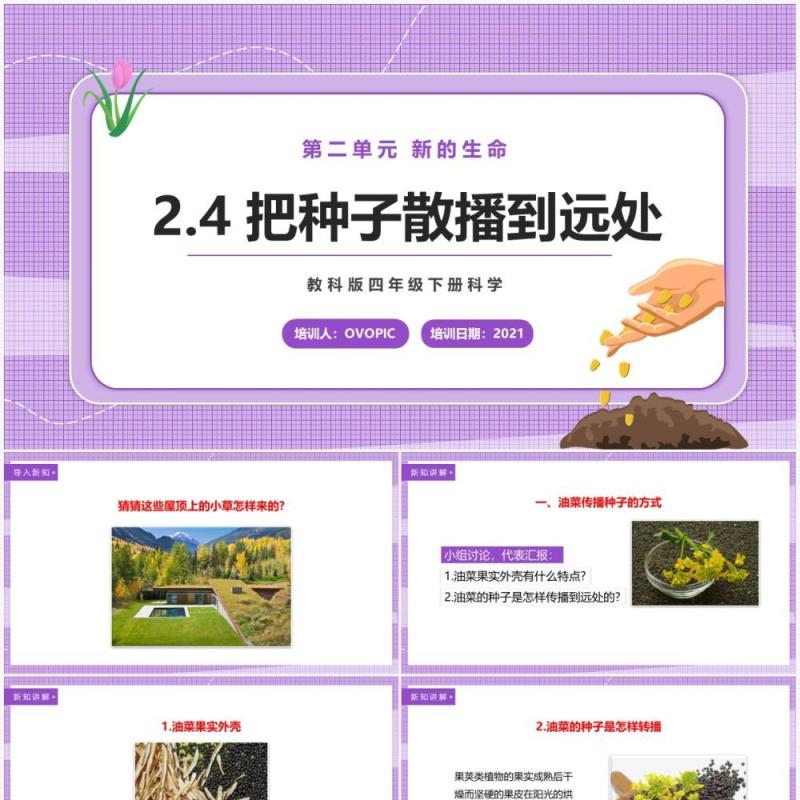 教科版四年级下册把种子散播到远处课件PPT模板