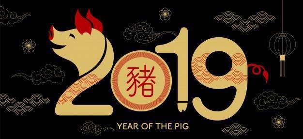 新年快乐，2019年，中国新年，猪年