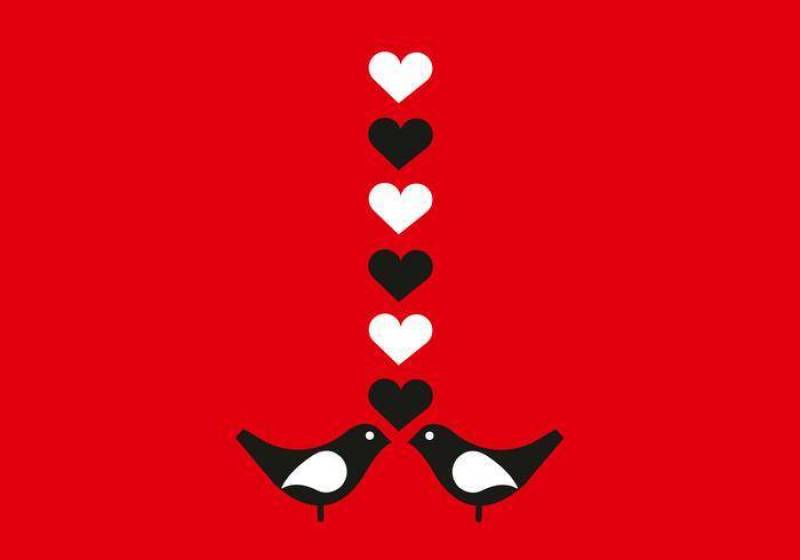爱情鸟矢量背景