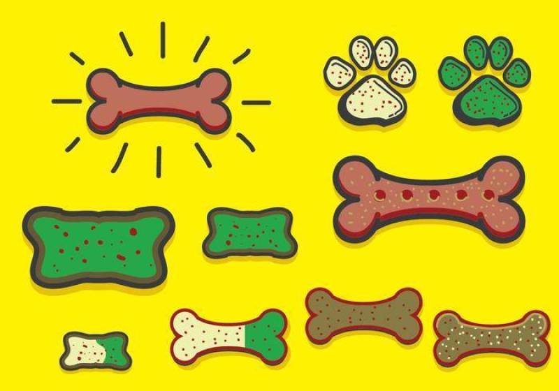 与饼干传染媒介的狗饼干