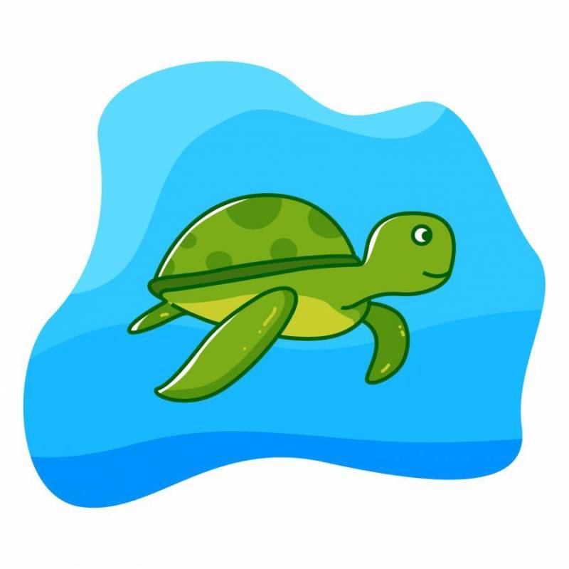 在海下的海龟