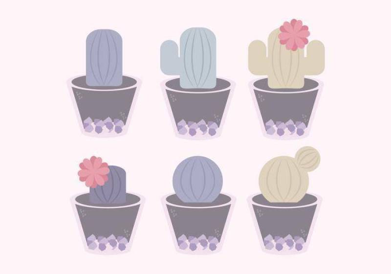 矢量可爱的仙人掌集