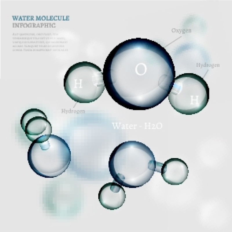 信息图表生物气泡24