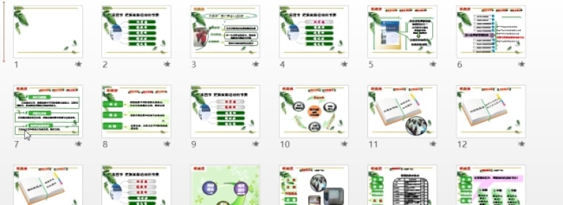 绿色树叶说课模板PPT