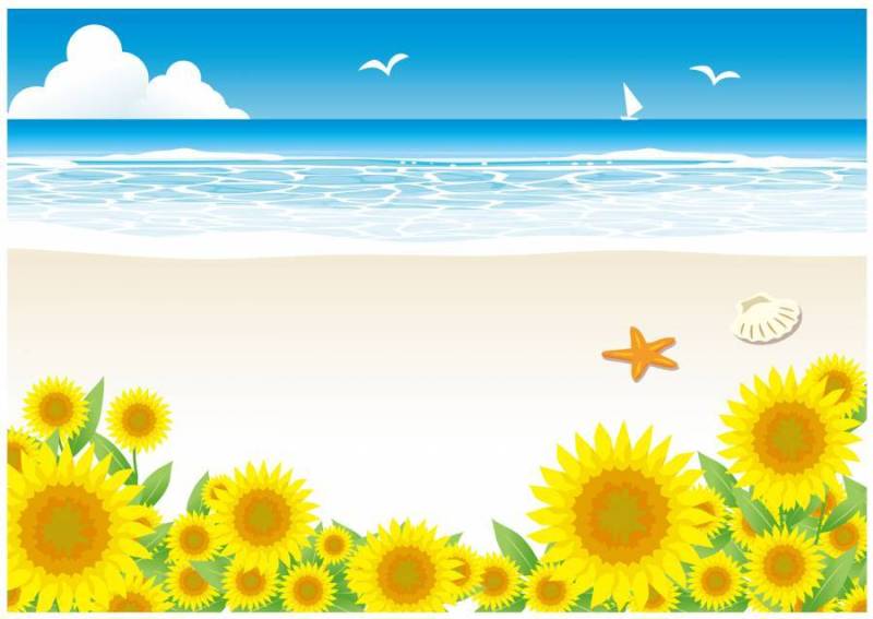 太阳海滩和向日葵