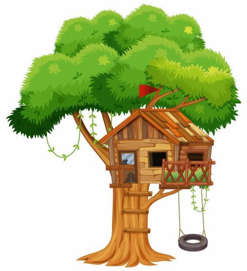 分支的老树上小屋