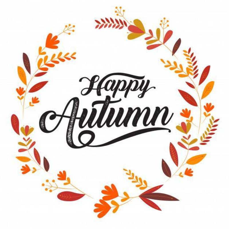 Happy Autumn , Thanksgiving typography, Vector calligraphy