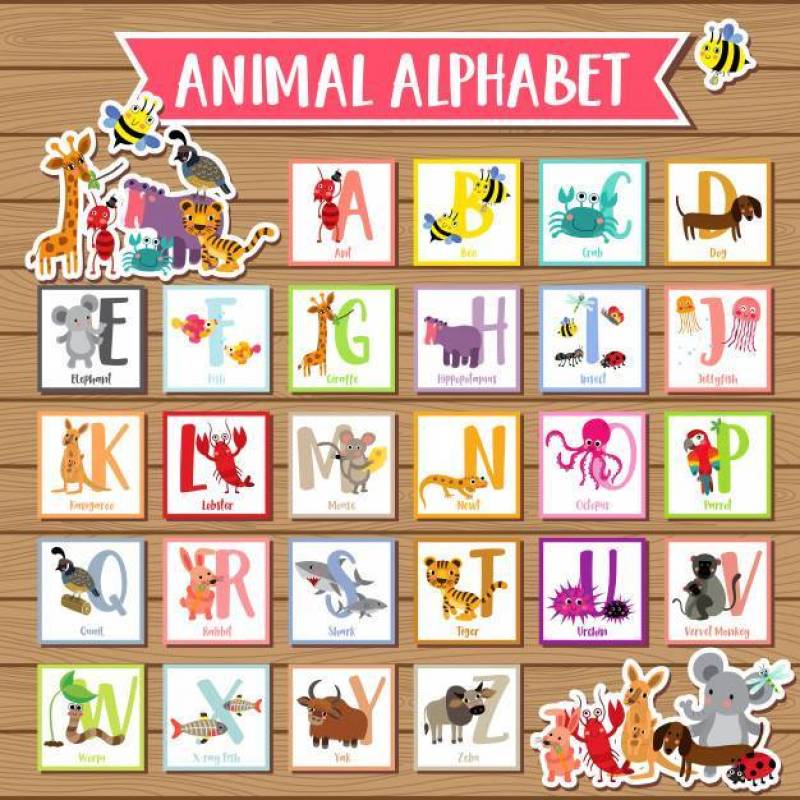 A到Z动物英文字母表儿童矢量素材下载