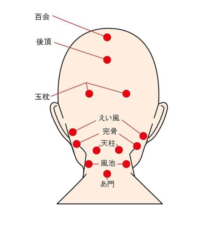 要点10 - 在脑后的穴位