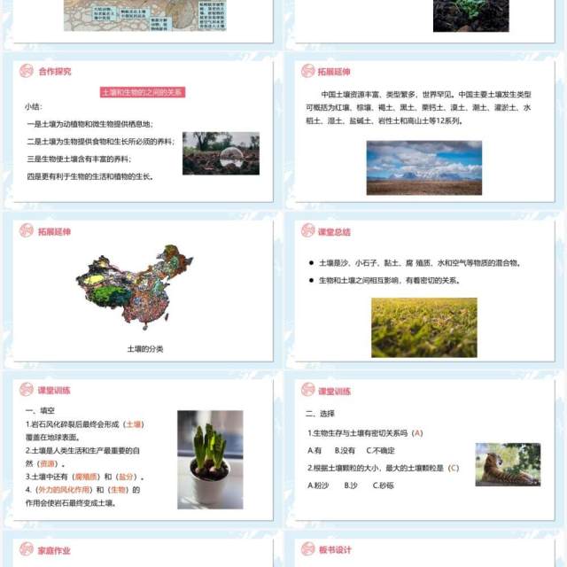 教科版五年级科学上册土壤中有什么PPT模板