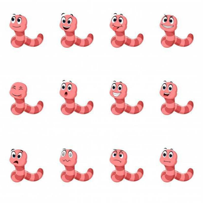 与不同的面部表情的蠕虫