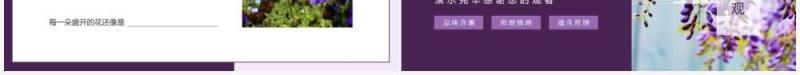 紫藤萝瀑布体会含蓄情感积极乐观对待人生动态PPT模板