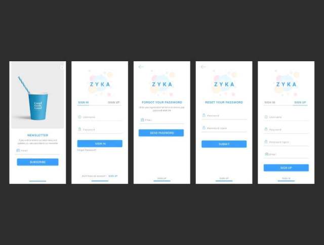 在Adobe XD。，Zyka iOS UI KIt中创建的购物iOS UI工具包