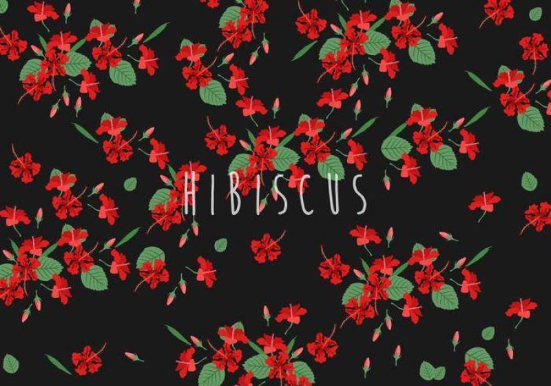 芙蓉维斯模式 矢量