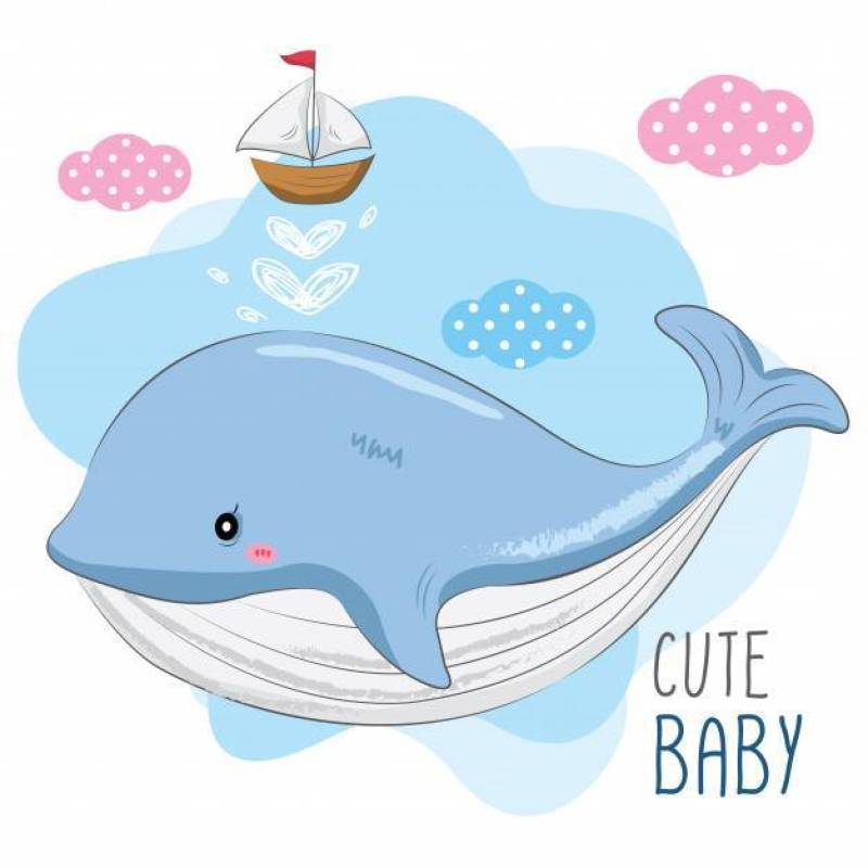 Cute Baby Whale and Small Ship