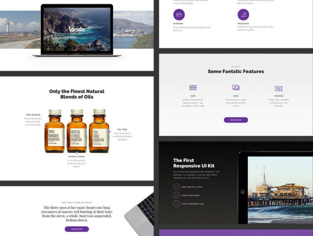 出色的单页和登陆页面,Lando UI Kit 出色的单页和登陆页面,Lando UI Kit